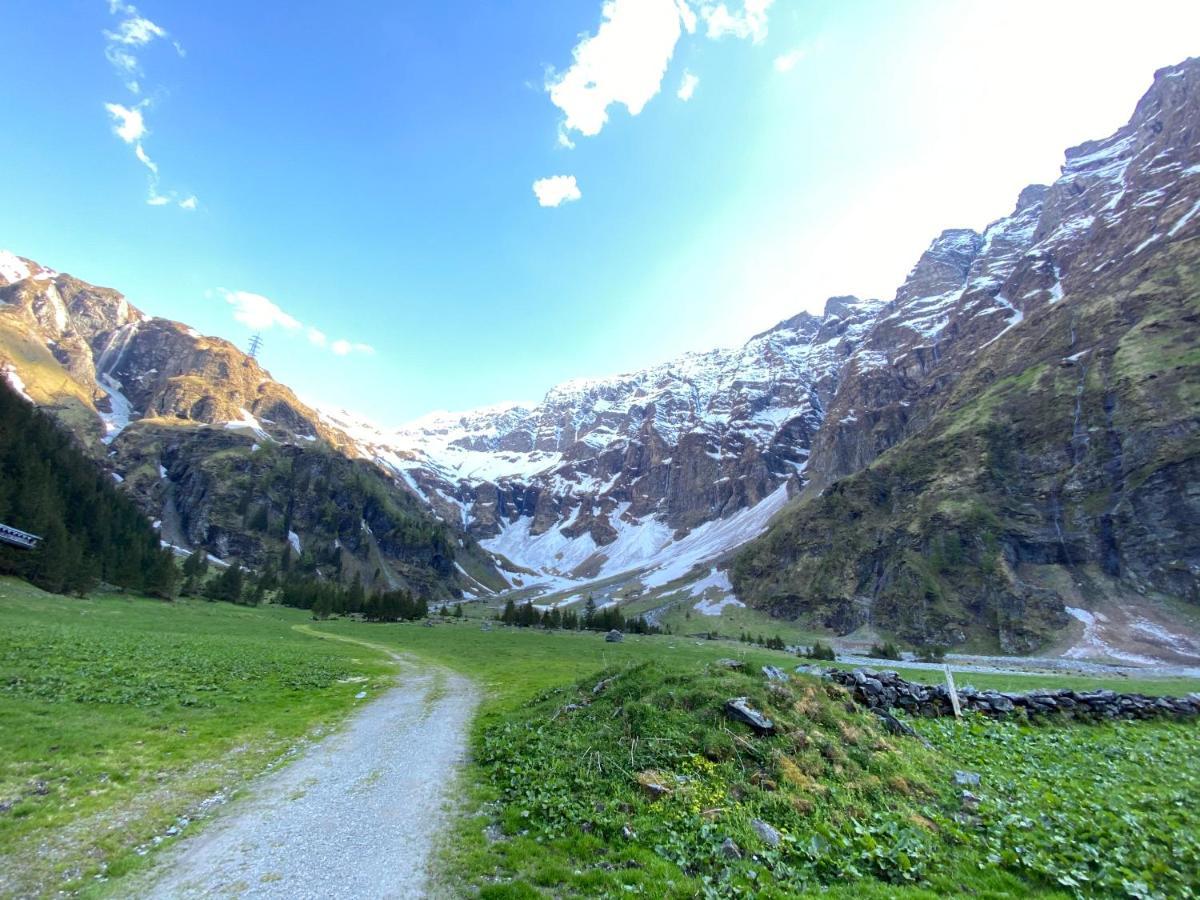 Ferienwohnung Wildkogelblick برامبرغ ام ويلدكوغه المظهر الخارجي الصورة